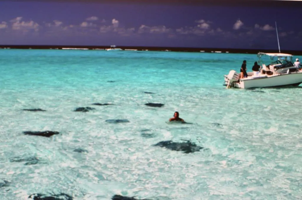 Morritts Tortuga Club And Resort East End